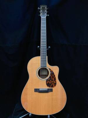 Store Special Product - LV-09E Rosewood Select Series Acoustic-Electric Guitar w/ Cutaway
